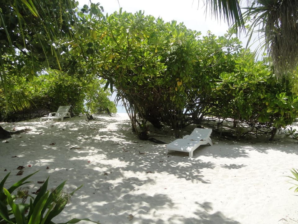 Ausblick vom Strandbungi Angaga Island Resort