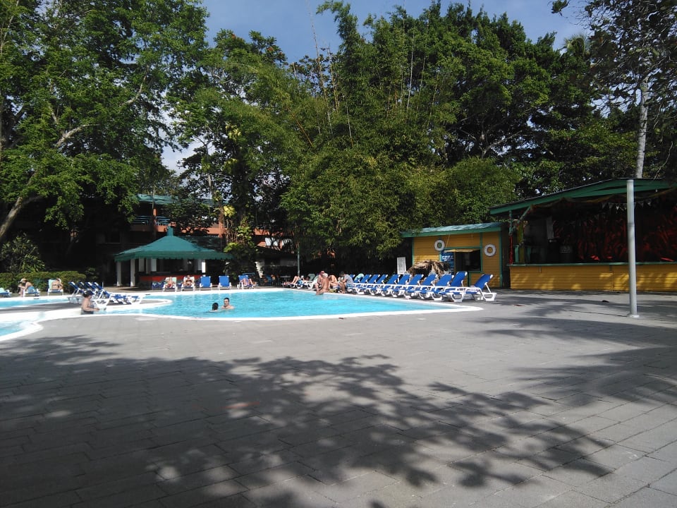 Pool whala!boca chica