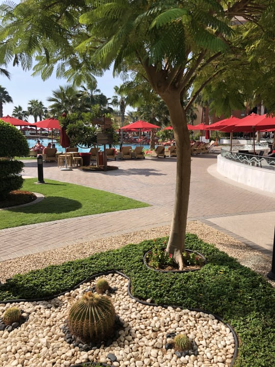 Gartenanlage Khalidiya Palace Rayhaan by Rotana