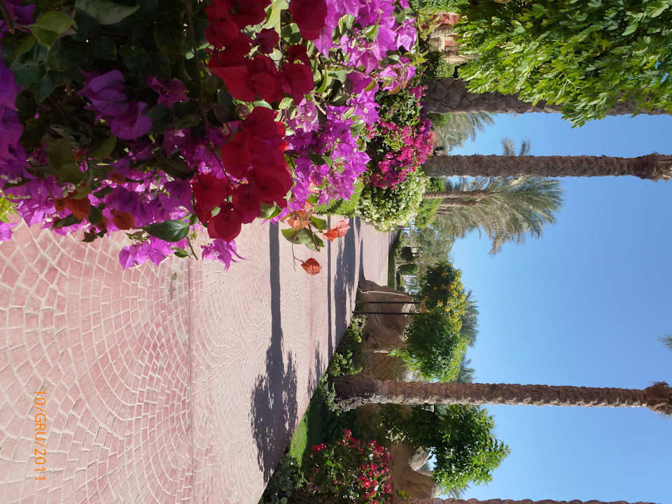 Hotelowa alejka Sharm Grand Plaza Resort