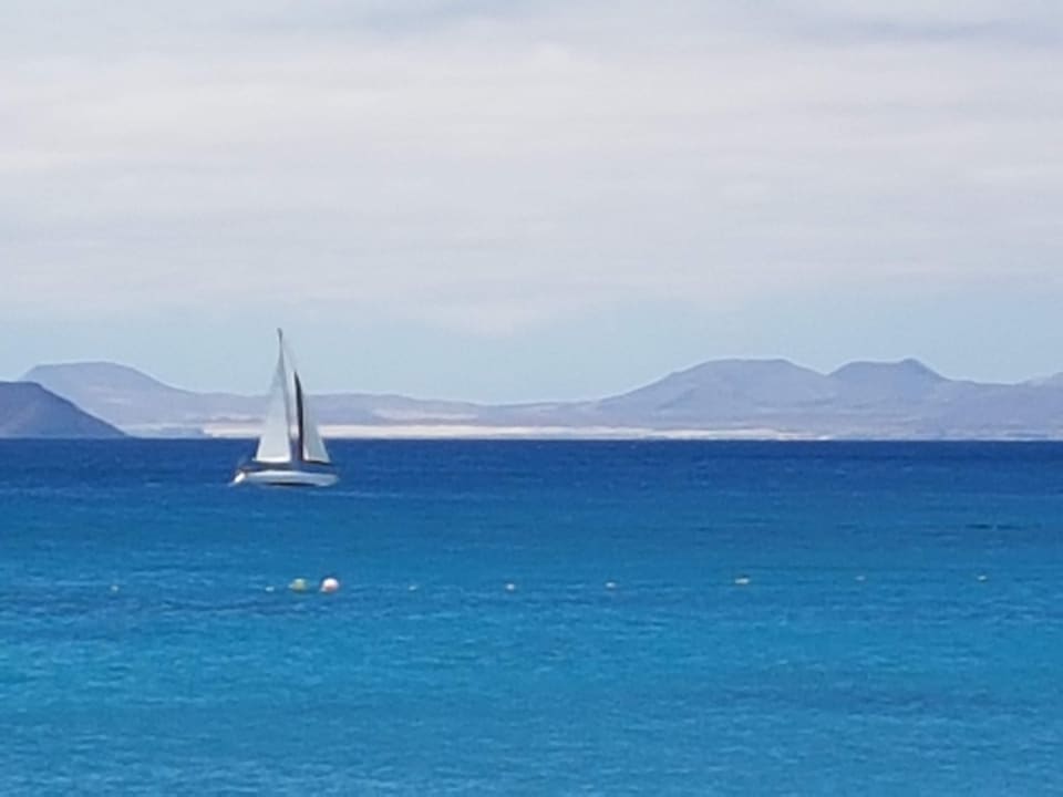 Blick auf Fuerteventura allsun App.-Hotel Albatros