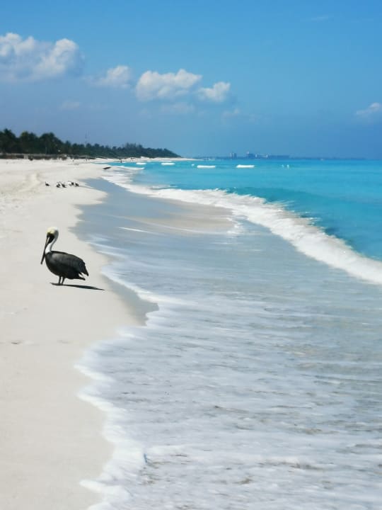 Strand Meliá Internacional Varadero