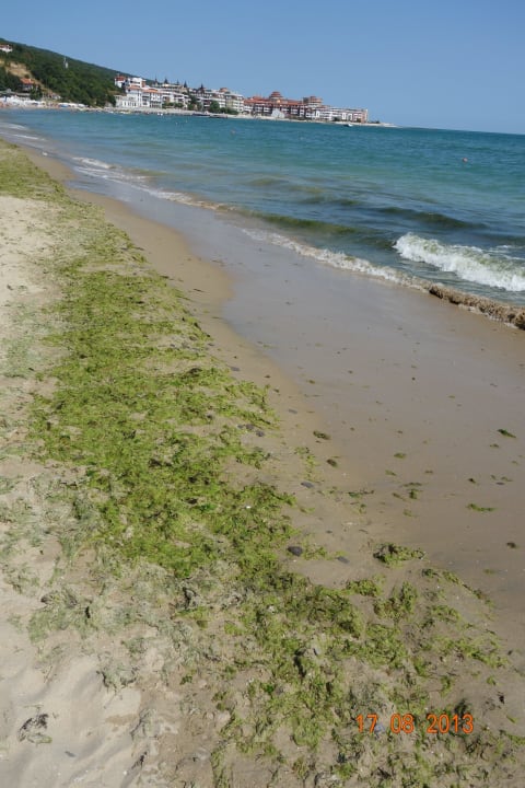 Plaża Hotel Tiva del Mar Beach