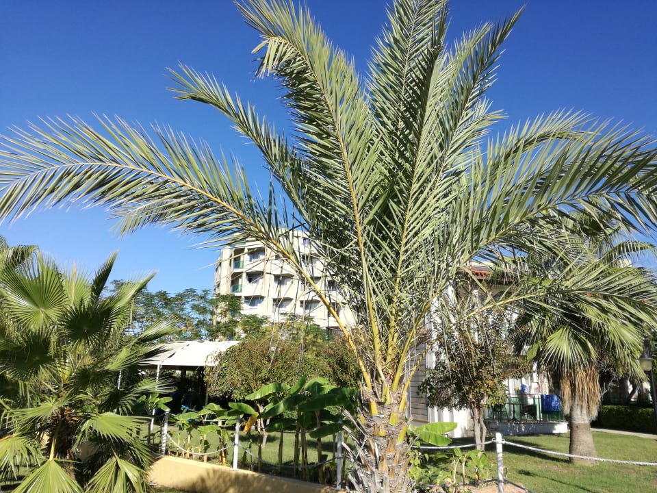 Strand Mary Hotel Side