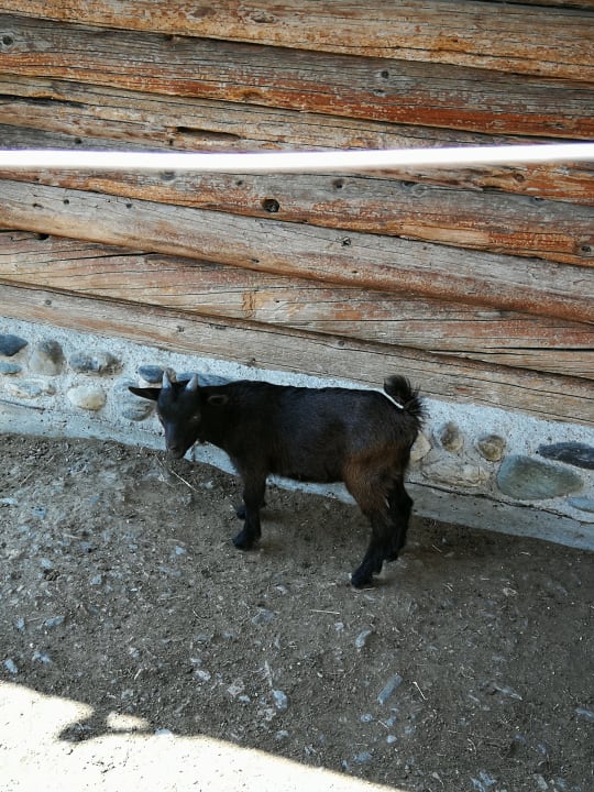 Sonstiges Kinderhotel Waldhof