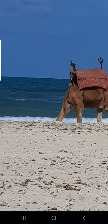 Strand Sidi Mansour Resort & Spa