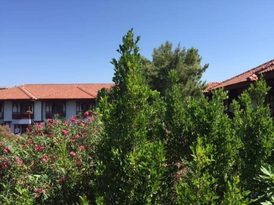 Ausblick vom Balkon Ali Bey Club