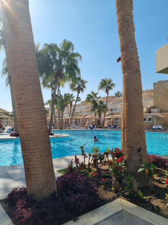 Pool Pickalbatros Citadel Resort