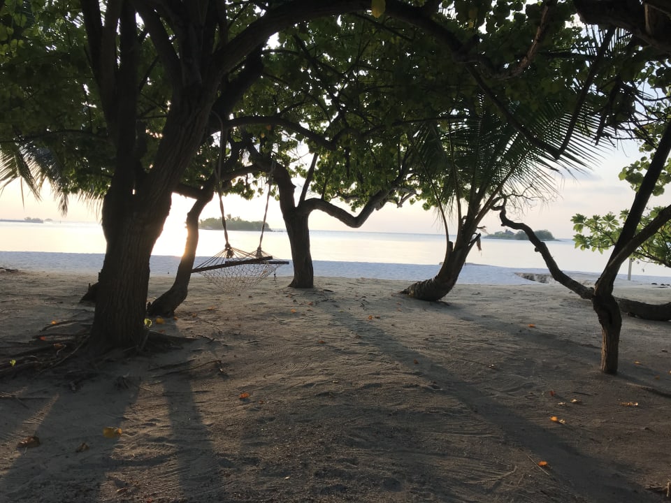 Gartenanlage Adaaran Select Hudhuran Fushi - Premium All Inclusive