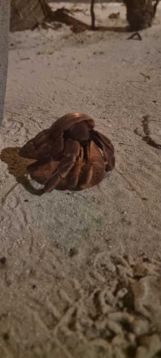 Sonstiges Kuredu Island Resort & Spa