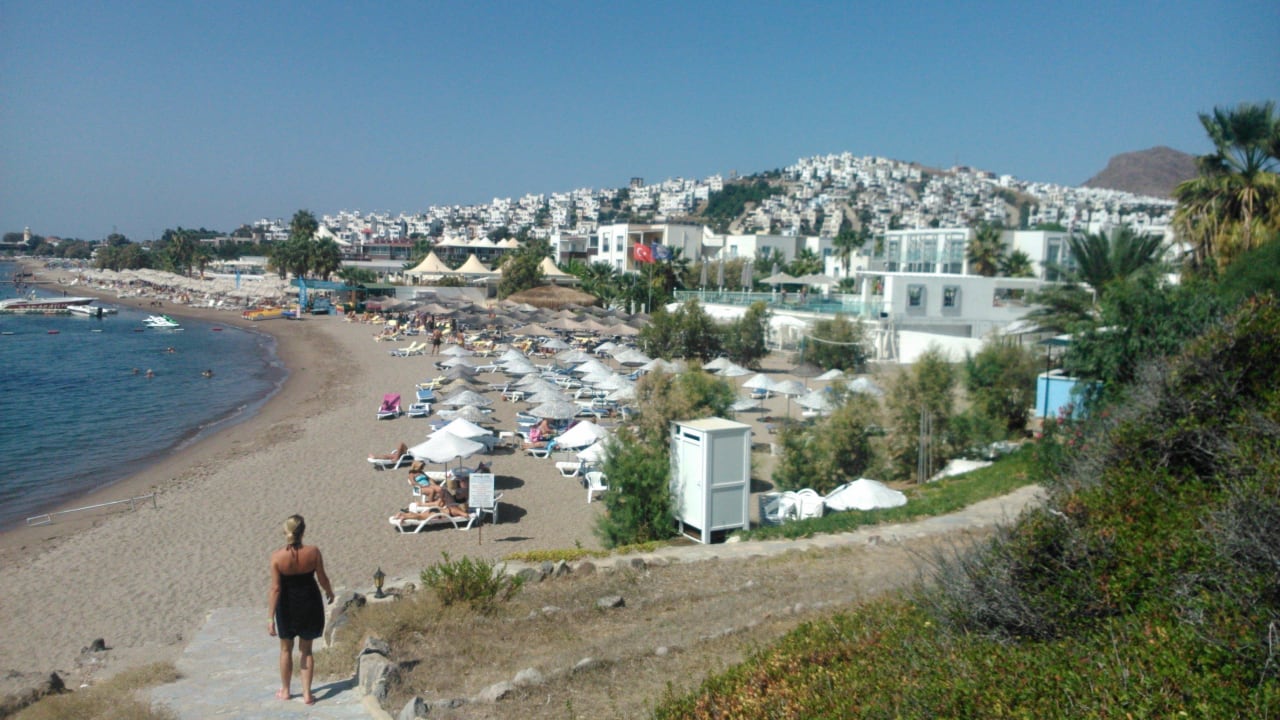 Plaża hotelowa ( 150 m od hotelu) Hotel Club Acacia