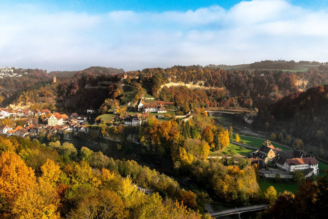 View Hotel NH Fribourg