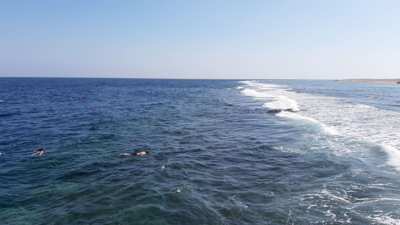 Strand Pickalbatros Sea World Resort - Marsa Alam