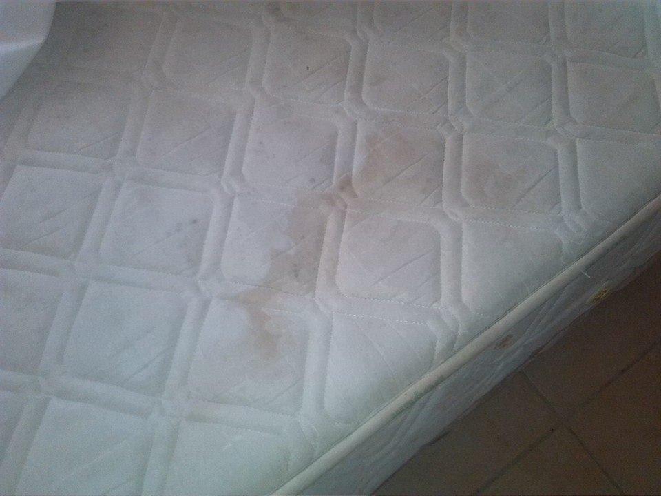 Schimmel/Dreck/Schweiß? Andros Family Club