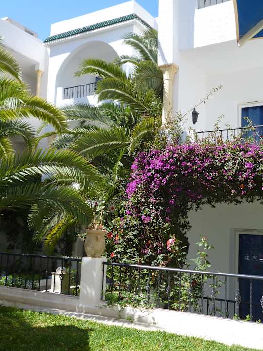 Двор Hotel Nesrine