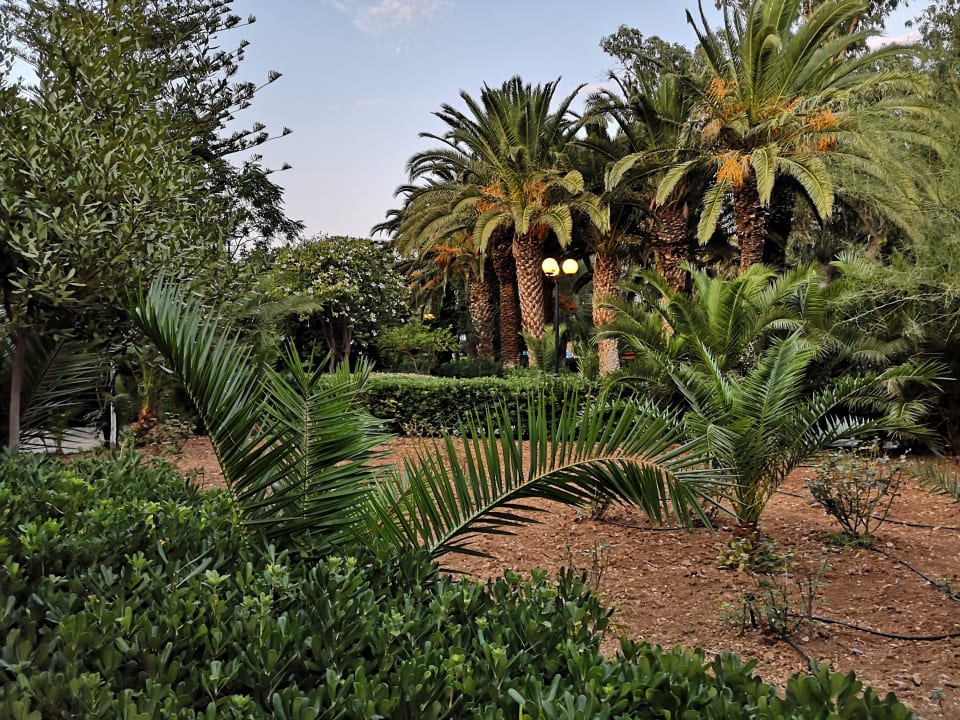 Gartenanlage Apollonia Beach Resort & Spa