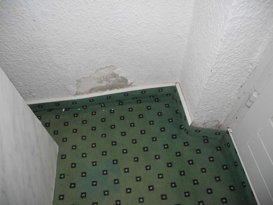 Feuchtigkeit Rivijera Villen & Dependance Flora & Madera