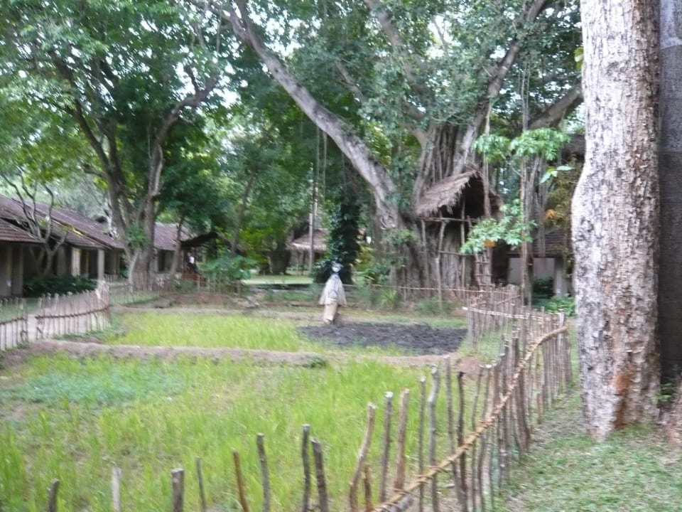 Ein Teil der wundervollen Gartenanlage Sigiriya Village