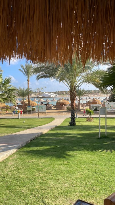 Gartenanlage Steigenberger Coraya Beach - Adults only