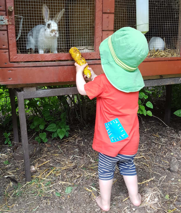 Sonstiges Ferienhof Albert