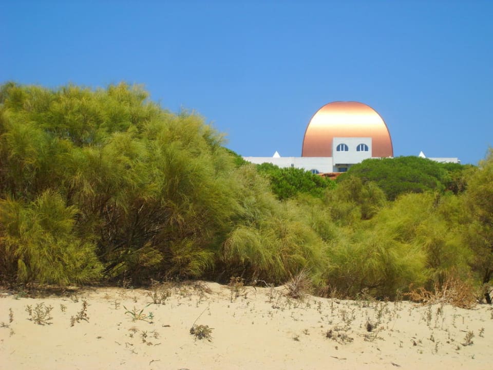 Strandabschnitt, Haltestelle Transborder nach La F Playacartaya Hotel