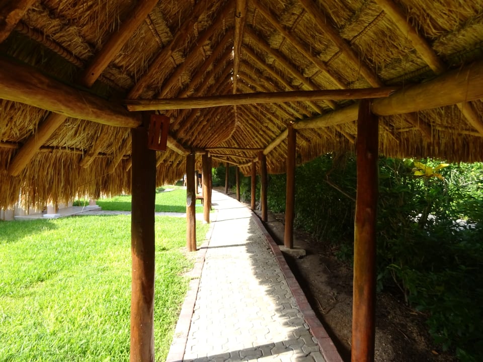 Gartenanlage Grand Palladium Select White Sand Resort & Spa