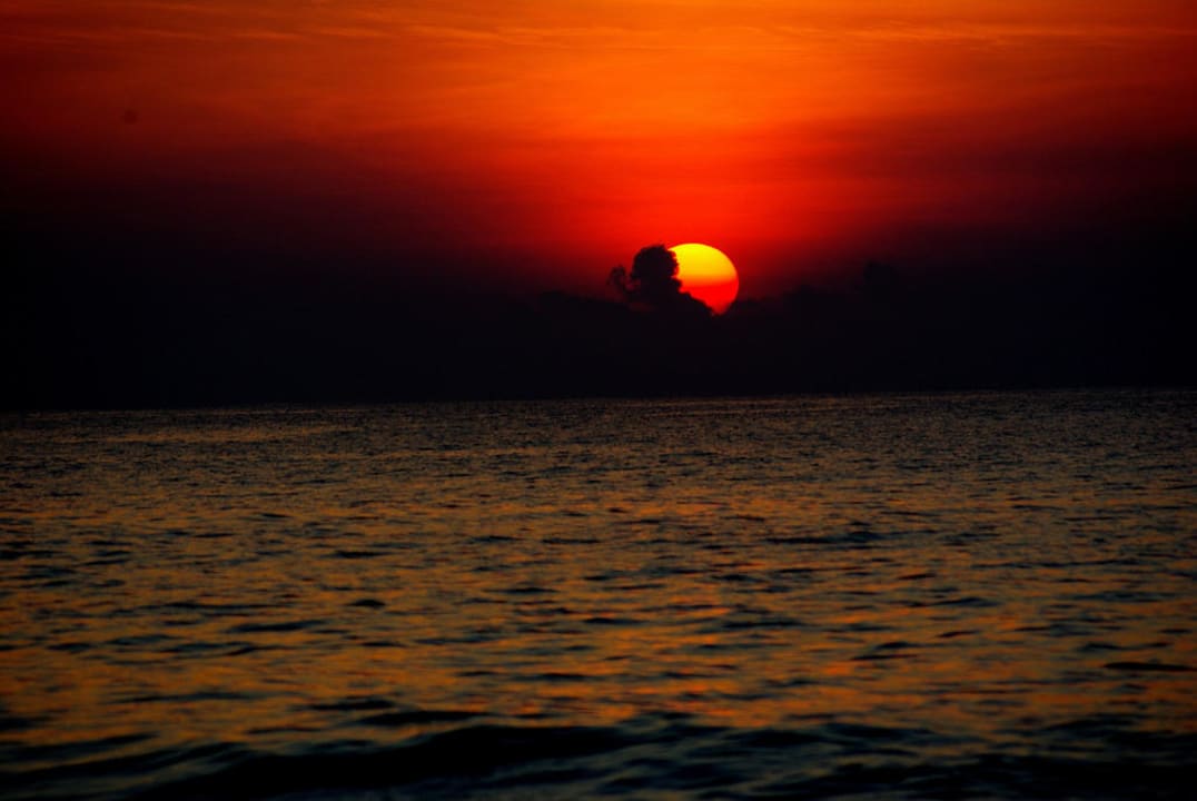 Wschód słońca Palm Paradise Cabanas