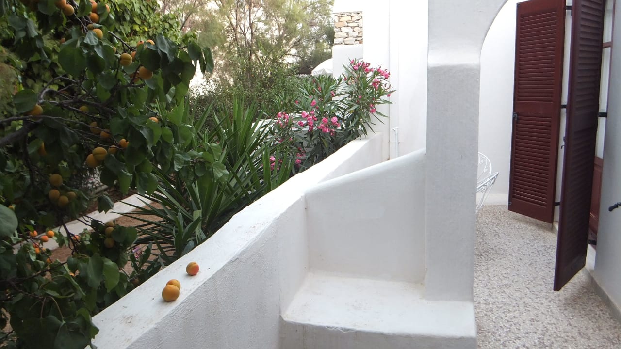 Terrasse Bungalows Svoronos