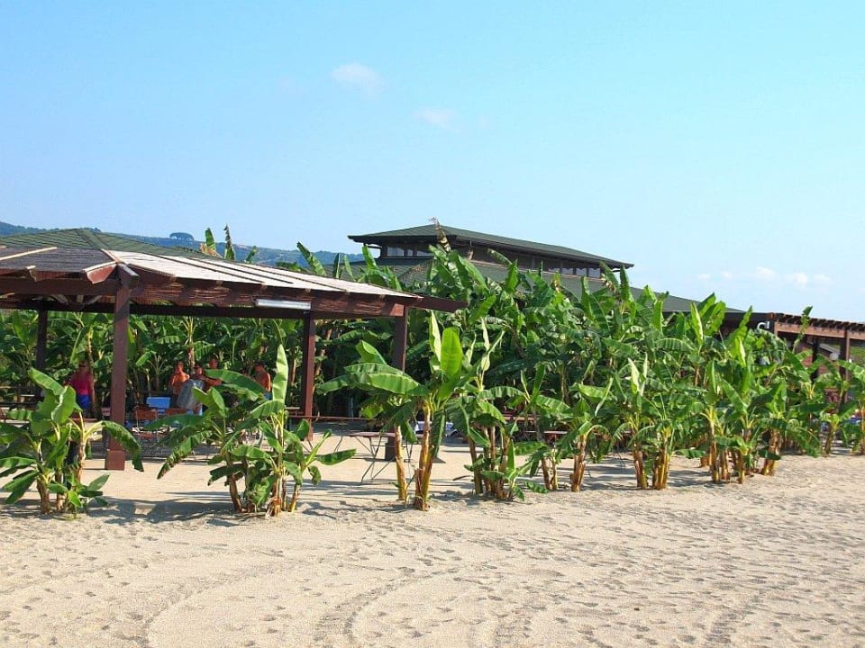 Restauracja przy plaży Falkensteiner Club Funimation Garden Calabria