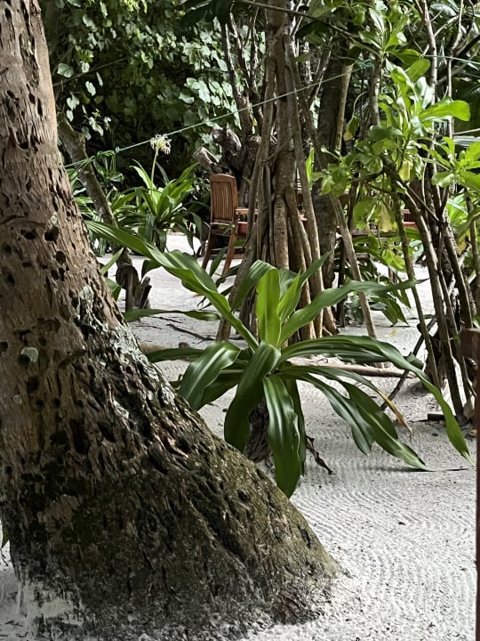 Gartenanlage NH Collection Maldives Reethi Resort