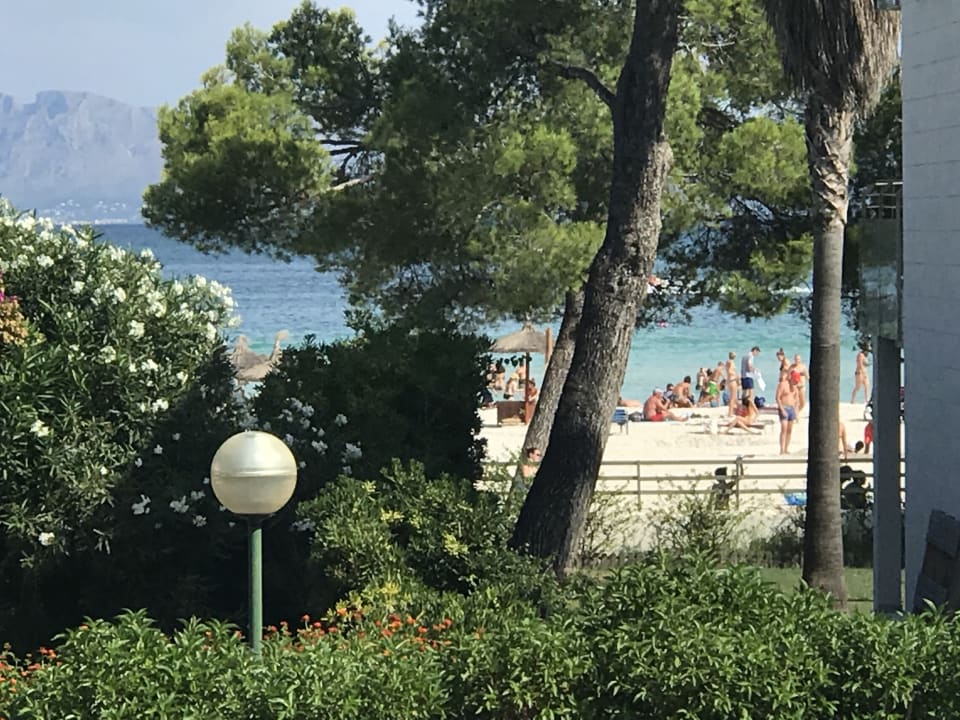 Ausblick Iberostar Waves Ciudad Blanca