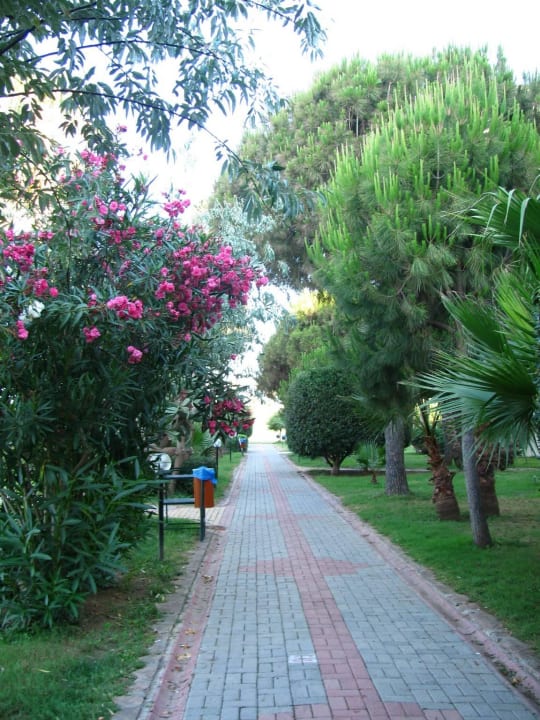 Отель MC Beach Park Resort Hotel