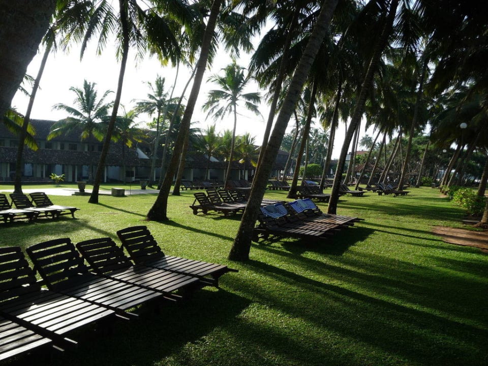 Garten Thaala Bentota