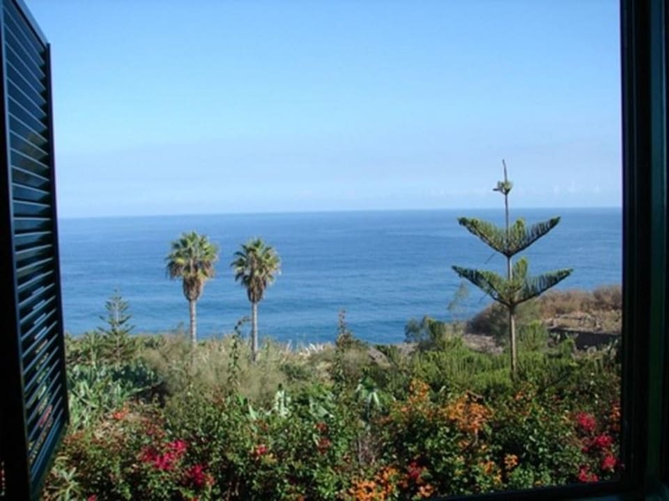 Blick aus dem Fenster von La Casita Finca El Rincon