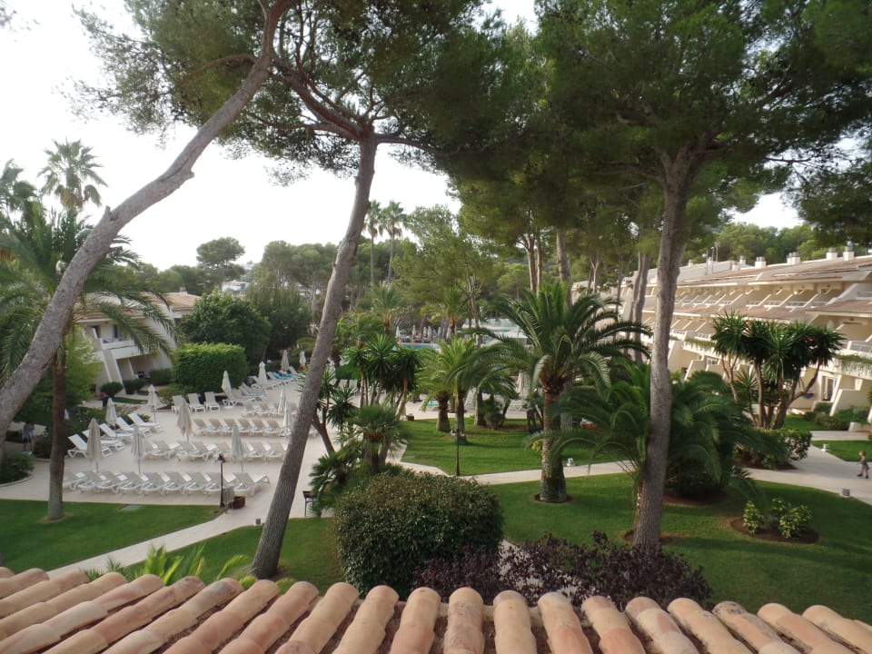 Ausblick Iberostar Waves Pinos Park