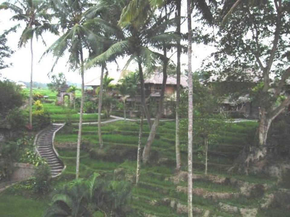 Kamandalu Resort Ubud Kamandalu Ubud