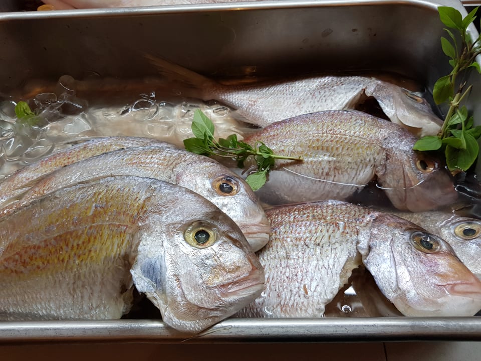 Gastro TUI BLUE Oceanis Beach and Spa Resort