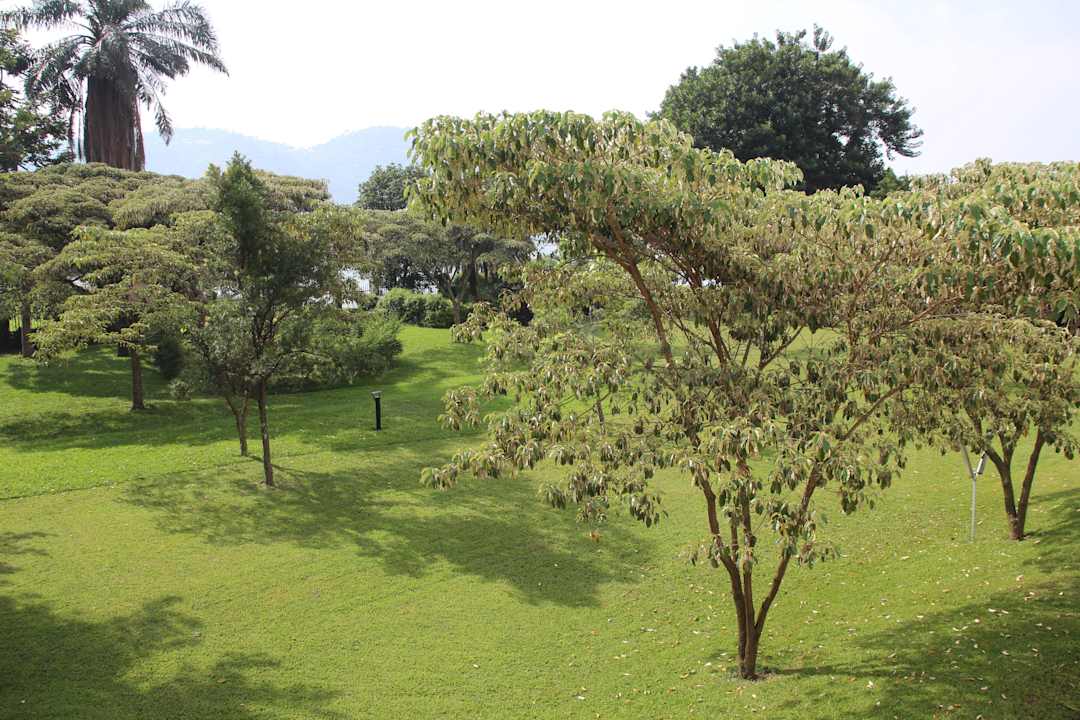 Blick vom Zimmer Lake Kivu Serena Hotel