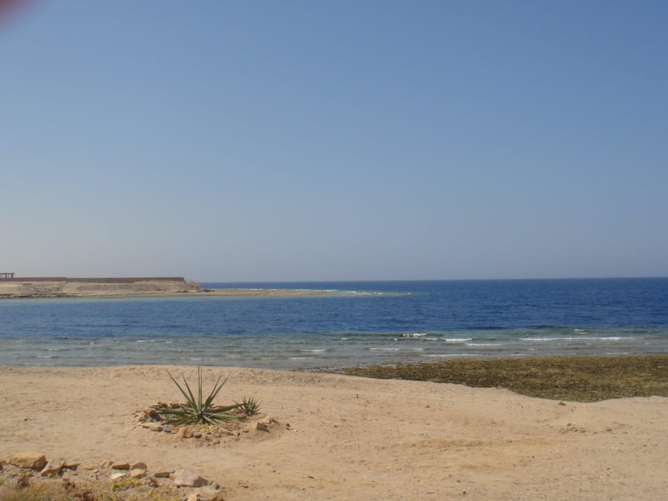 Strand Coral Sun Beach
