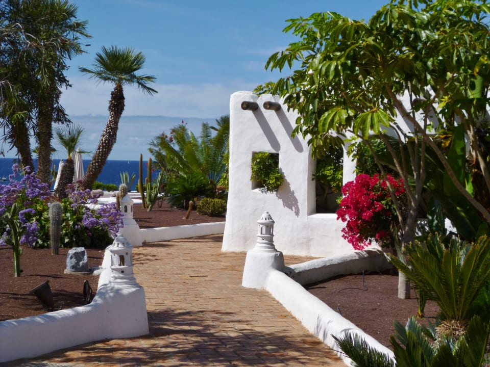 Gartenanlage Dreams Jardín Tropical