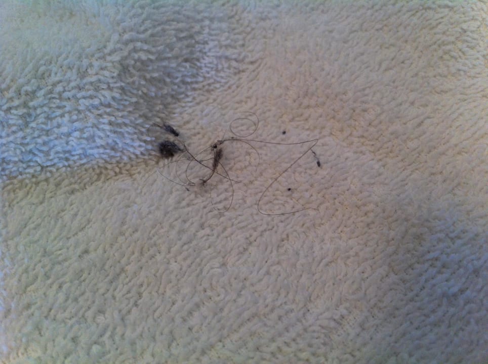 Schmutz! Hotel Ambassadeur