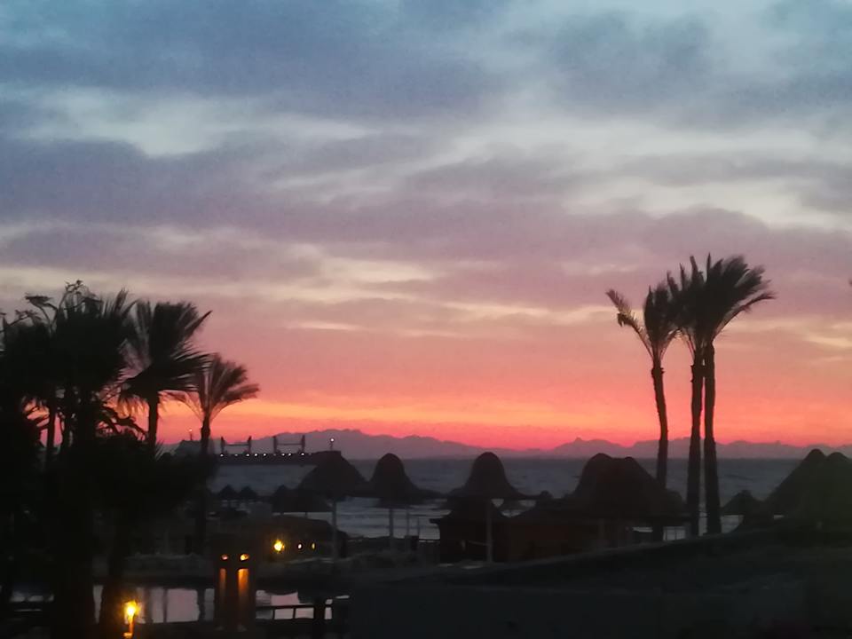 Ausblick Parrotel Beach Resort