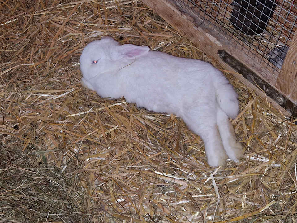 Sonstiges Familotel Der Böhmerwald - Euer Familienhotel im Bayerischen Wald