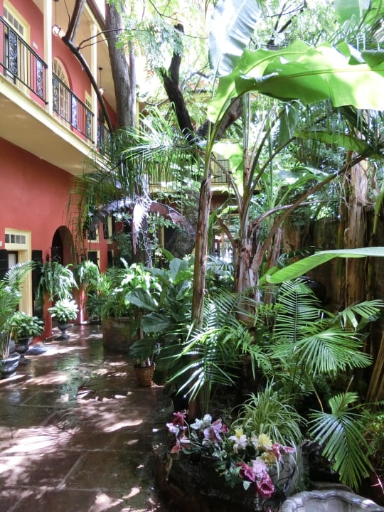 Garten The Olivier House Hotel