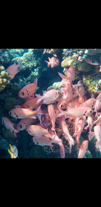 Strand Three Corners Happy Life Beach Resort