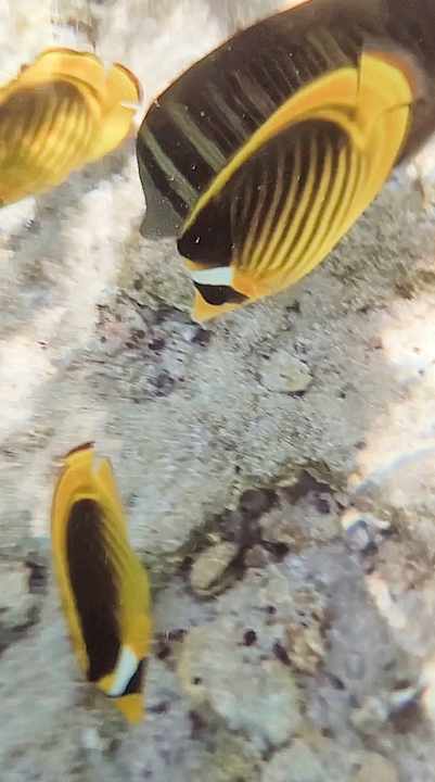 Strand Jaz Grand Marsa