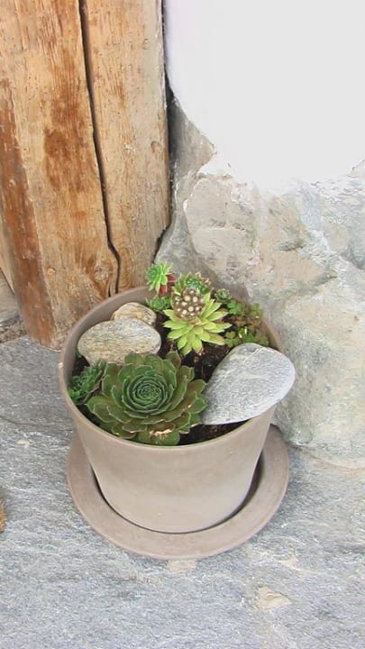 Detail PRIESTEREGG Premium ECO Resort