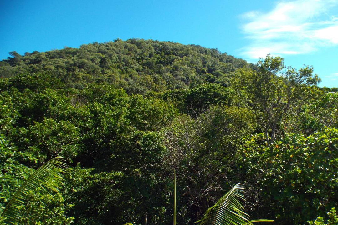 Hinter dem Hotel Fitzroy Island Resort