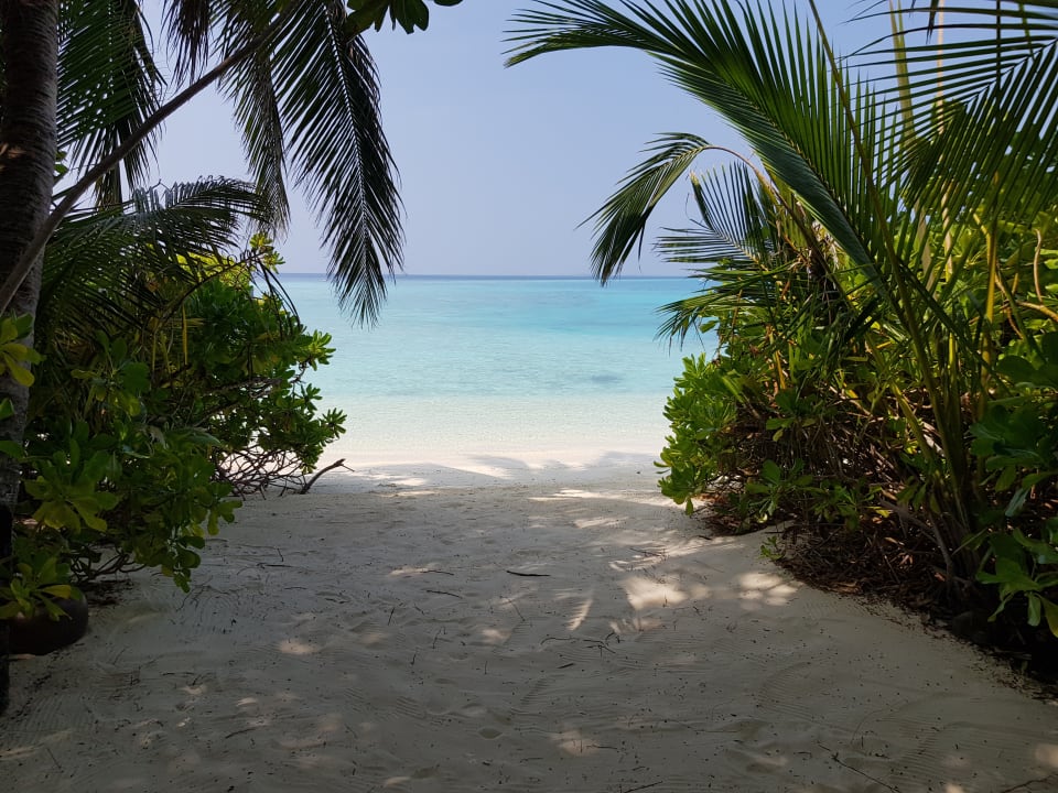 Außenansicht Baros Maldives Resort