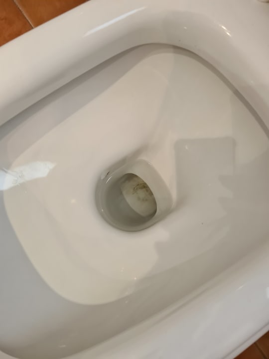 Zimmer Gavimar Ariel Chico Club & Resort